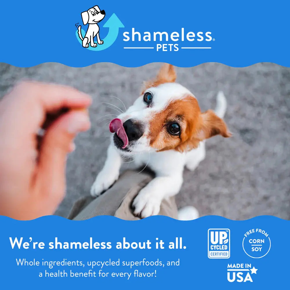 Shameless Pets Bone Broth Chews Peanut Butter Bliss Dog Treats Shameless Pets