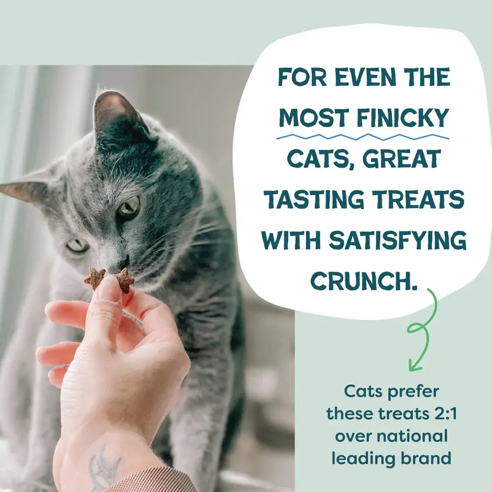 A person offers a gray cat a crunchy treat. Text reads: Shameless Pets Catnip N Chill Chicken Liver Crunchy Cat Treats deliver irresistible taste and crunch—chosen 2:1 over the national leading brand.
