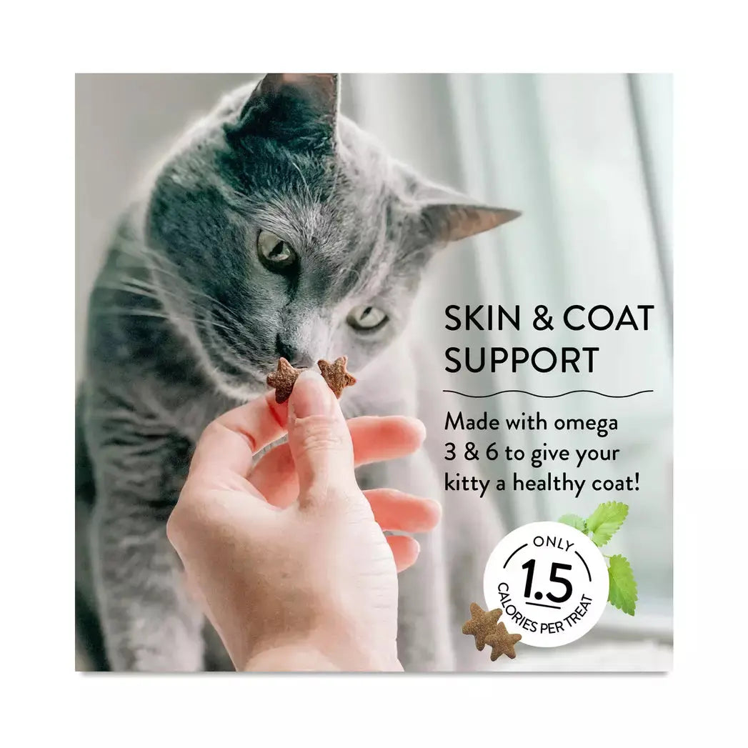 A person holds two star-shaped Shameless Pets Fintastic Catnip Crunchy Cat Treats 2.5oz near a gray cat’s nose. Text reads, Skin & coat support—made with omega 3 & 6 for a healthy coat! Only 1.5 calories per treat.