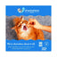 A fluffy orange cat eagerly eats Shameless Pets Fintastic Catnip Crunchy Cat Treats 2.5oz from a persons hand. The image has a blue border, the Shameless Pets logo, and text promoting healthy upcycled treats made in the USA.