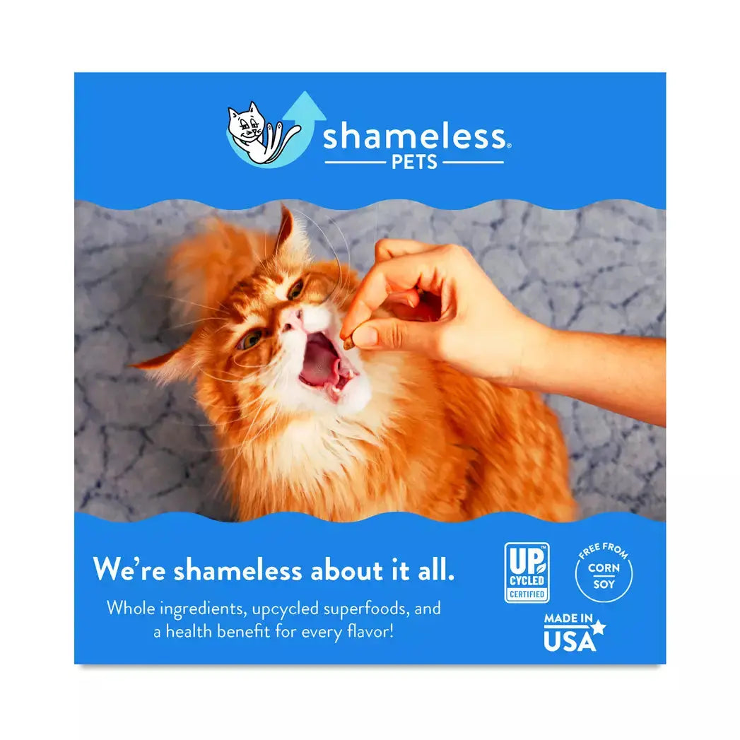 A fluffy orange cat eagerly eats Shameless Pets Fintastic Catnip Crunchy Cat Treats 2.5oz from a persons hand. The image has a blue border, the Shameless Pets logo, and text promoting healthy upcycled treats made in the USA.