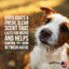 A close-up of a brown and white dog outdoors. Text: Showseason Spring Rain Dog Cologne keeps coats fresh, clean, and odor-free for weeks between baths. Showseason logo with American flag in the corner.