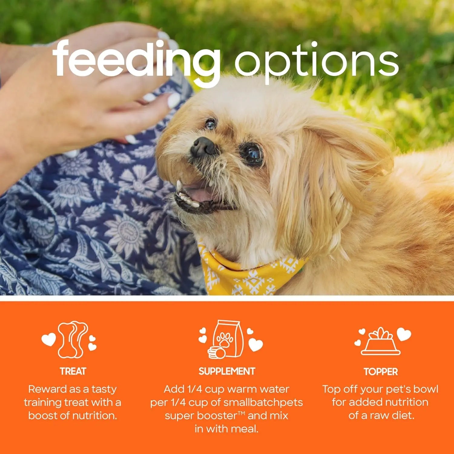 A small, fluffy dog with a yellow bandana looks up at a person petting it. Below, text highlights feeding options: Smallbatch Super Booster Chicken SmallBites Freeze-Dried Topper & Treats for single-source protein nutrition.