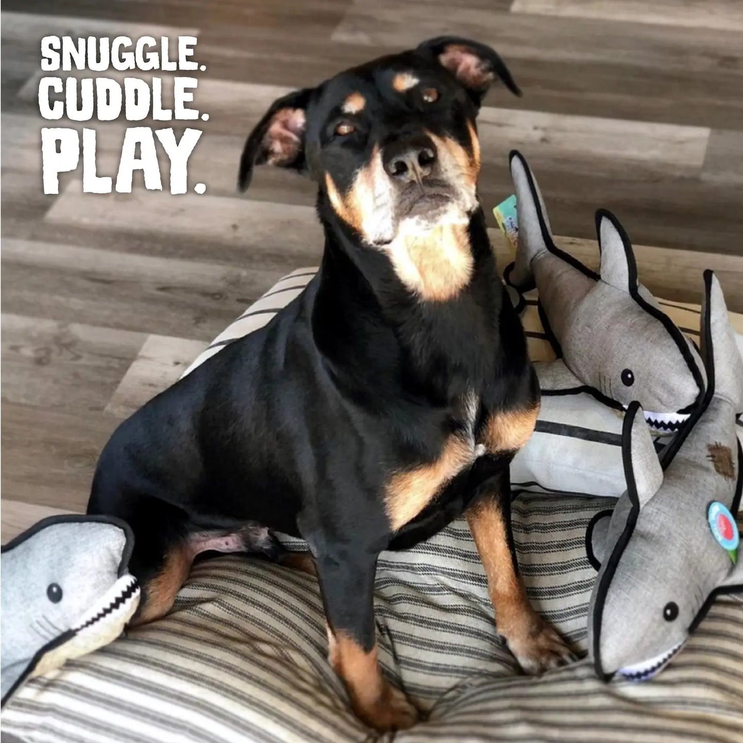 SnugArooz Saul the Shark Dog Toy SnugArooz