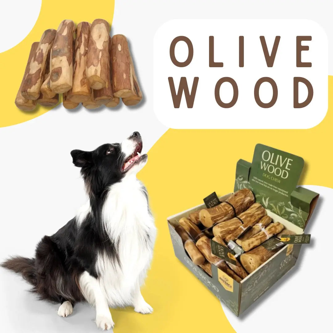 A black and white dog looks up next to a box and a pile of Advance Pet Products Sustainable Olive Wood Dog Chew Sticks. “OLIVE WOOD” appears in bold text on a white and yellow background.
