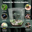 Talis-us Acrylic Hexagon Tarantula Enclosure Reptile Terrarium Talis Us
