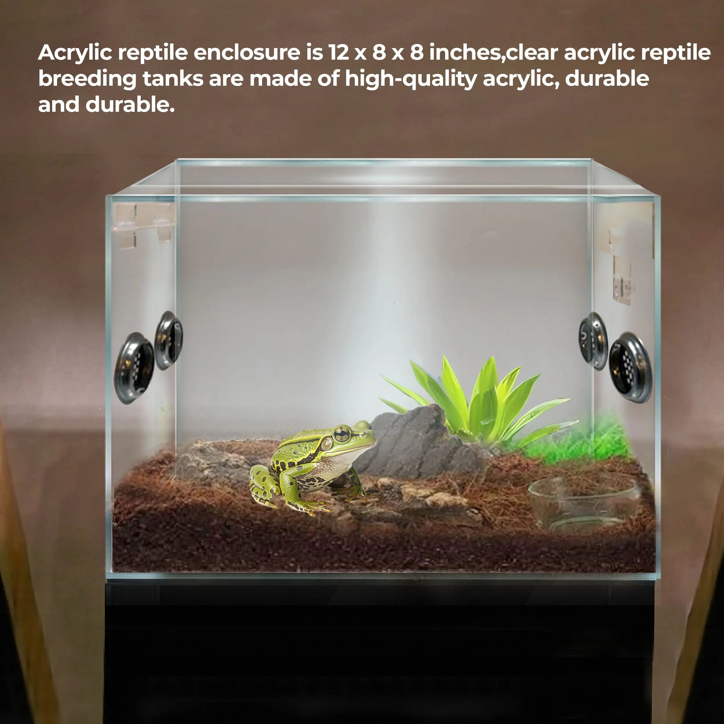 Arboreal reptile outlet enclosure