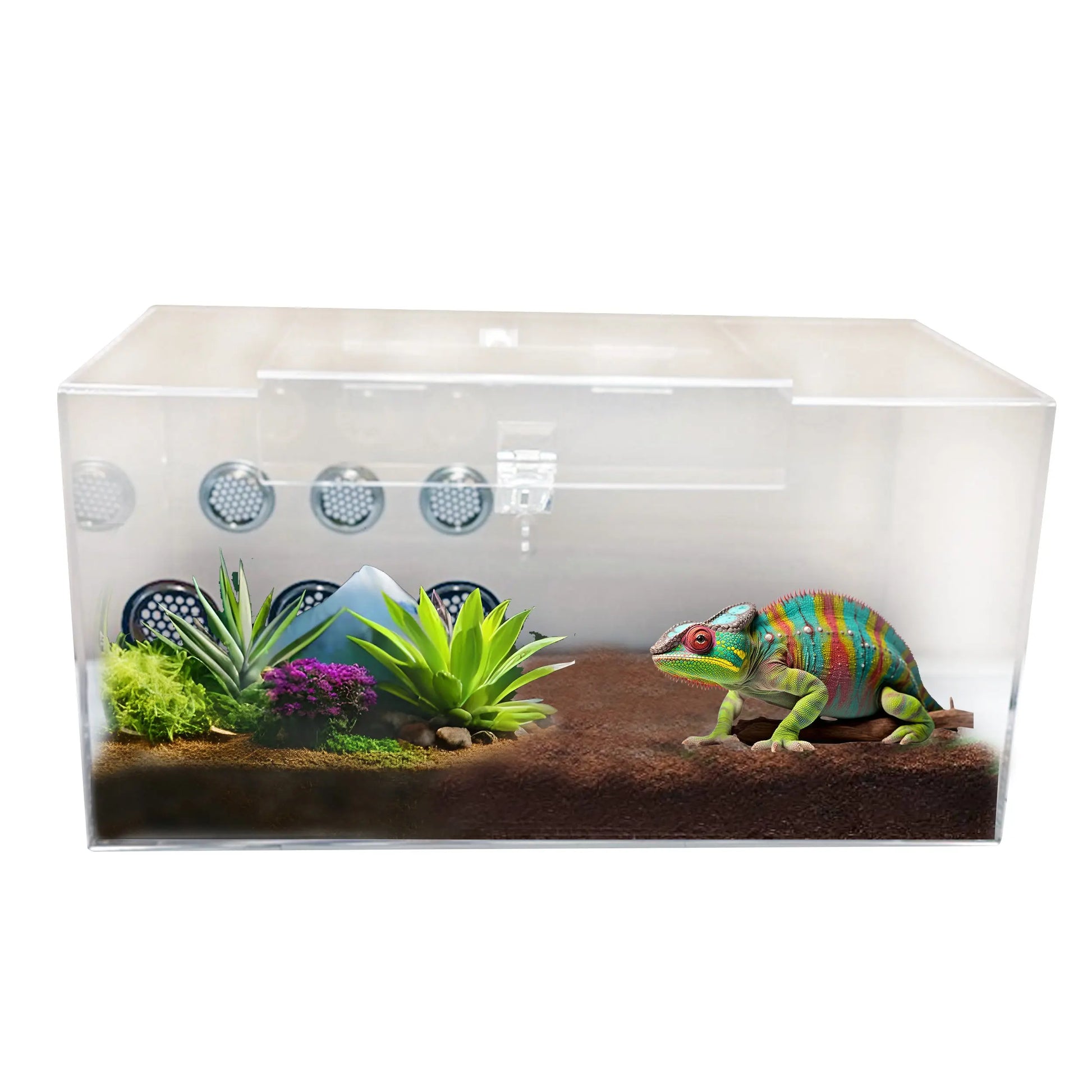 Talis-us Acrylic Tarantula Enclosure Transparent Terrariums Horizontal or Vertical Style for Spider Reptile Insect 8” x 8” x 16” Talis Us