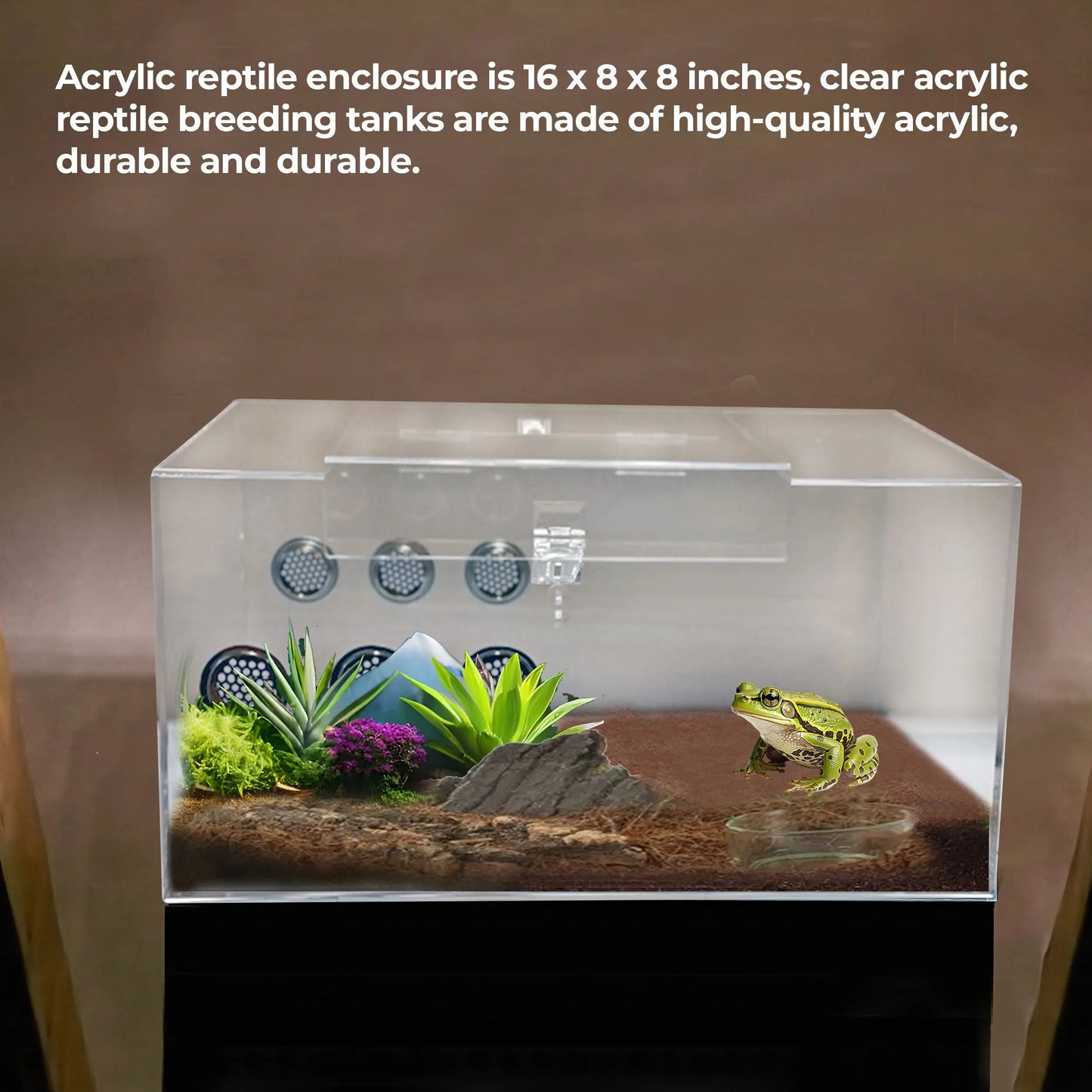 Talis-us Acrylic Tarantula Enclosure Transparent Terrariums Horizontal or Vertical Style for Spider Reptile Insect 8” x 8” x 16” Talis Us