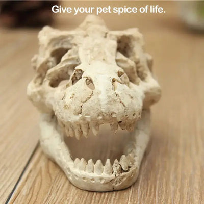 Talis-us Crocodile Skull Resin Ant Farm Decor Talis Us