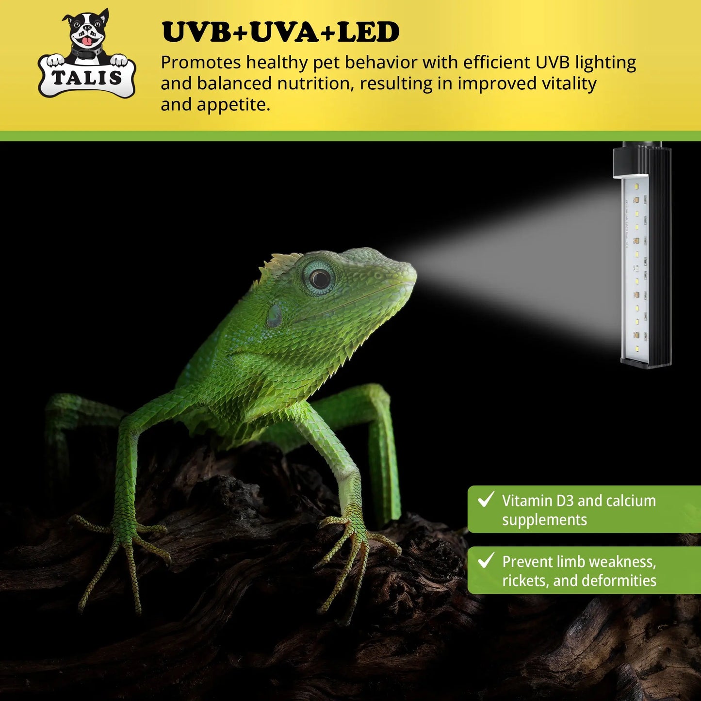 Talis-us LED UVA /UVB Sun Lamp Reptile Lights for Turtle Chameleon Lizard and Snake Talis Us