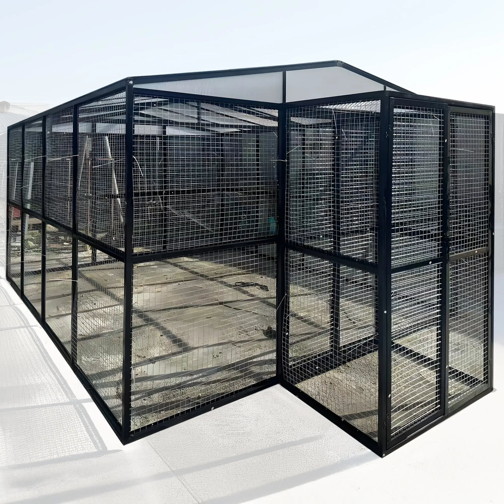The talis-us Talis-us Large Outdoor Bird Aviary Walk-In Iron Mesh Cage with Double Doors stands on a concrete surface under bright daylight, featuring a sturdy iron mesh build and convenient double doors.