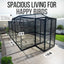 The talis-us Talis-us Large Outdoor Bird Aviary Walk-In Iron Mesh Cage with Double Doors features a sturdy frame, measures 147 L x 110 W x 81 H, and adds modern style to any concrete patio with lush plants and secure double-door access.