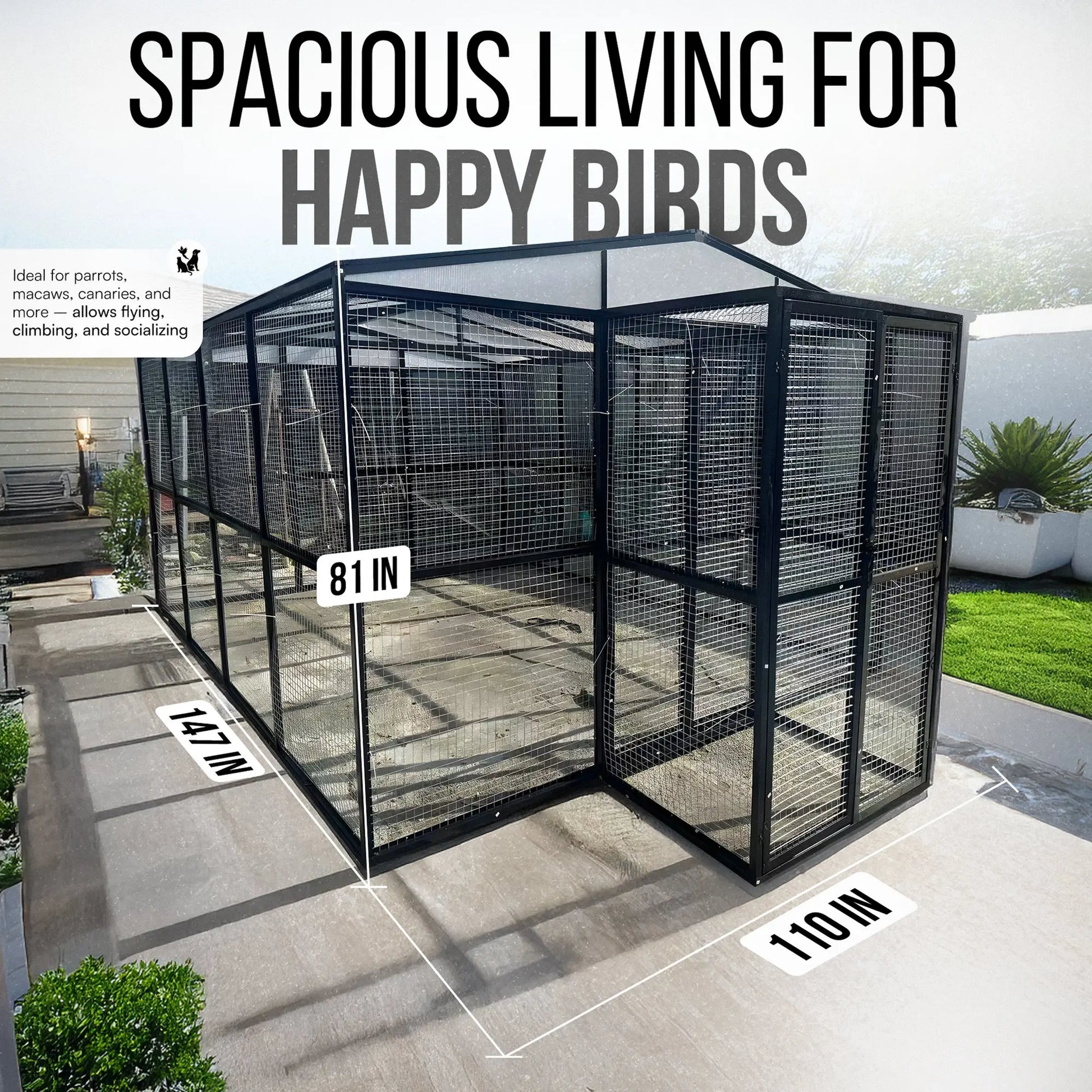The talis-us Talis-us Large Outdoor Bird Aviary Walk-In Iron Mesh Cage with Double Doors features a sturdy frame, measures 147 L x 110 W x 81 H, and adds modern style to any concrete patio with lush plants and secure double-door access.