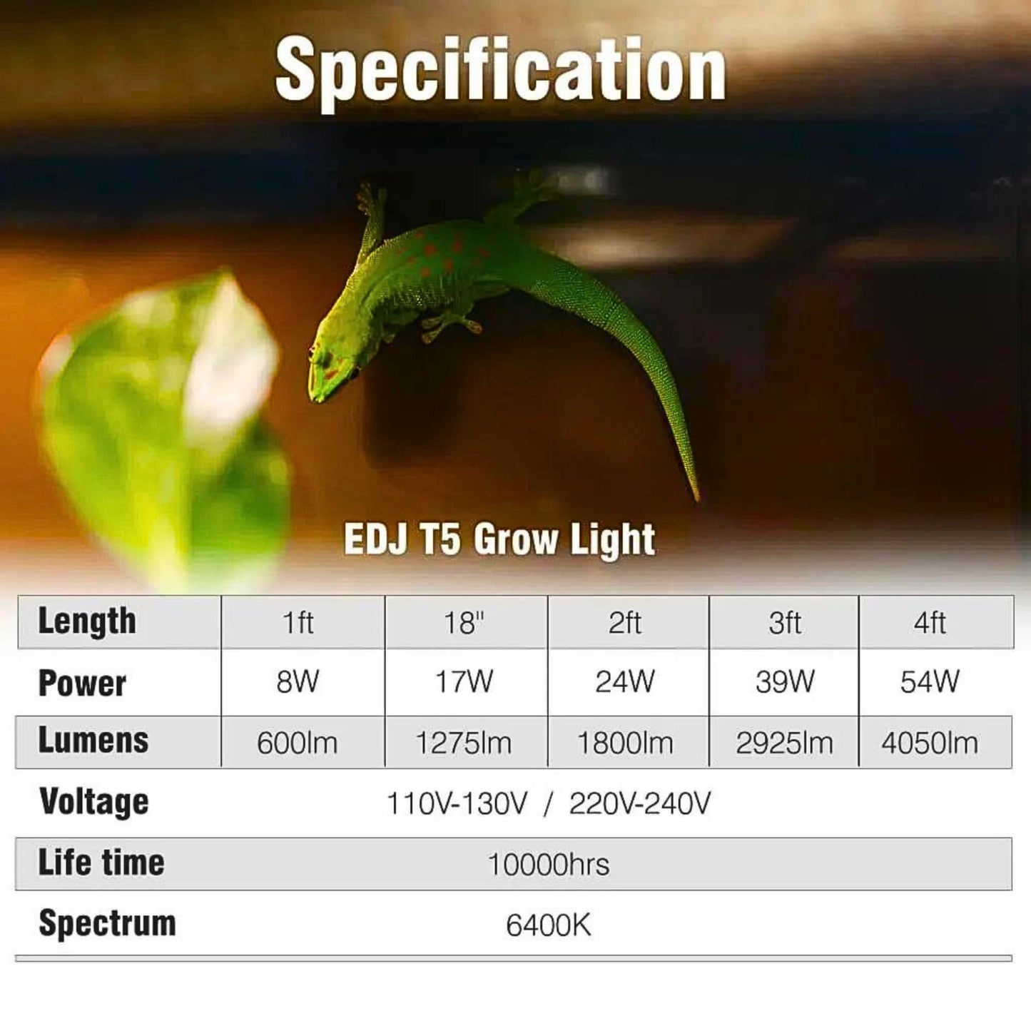 Talis-us Reptile Light Fixture with 10.0 UVB T5 HO Reptile Terrarium Lamp for Bearded Dragon Lizards and Tortoises Talis Us