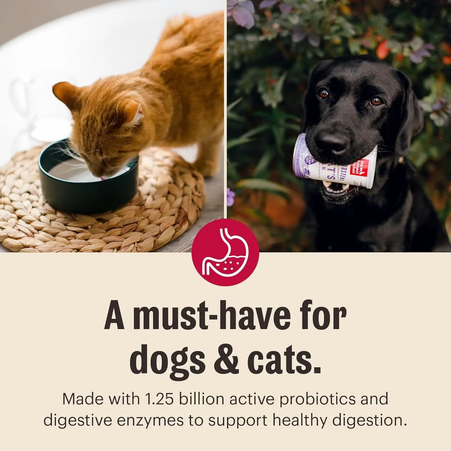 The Honest Kitchen Daily Boosters Instant Goat's Milk with Probiotics for Dogs The Honest Kitchen