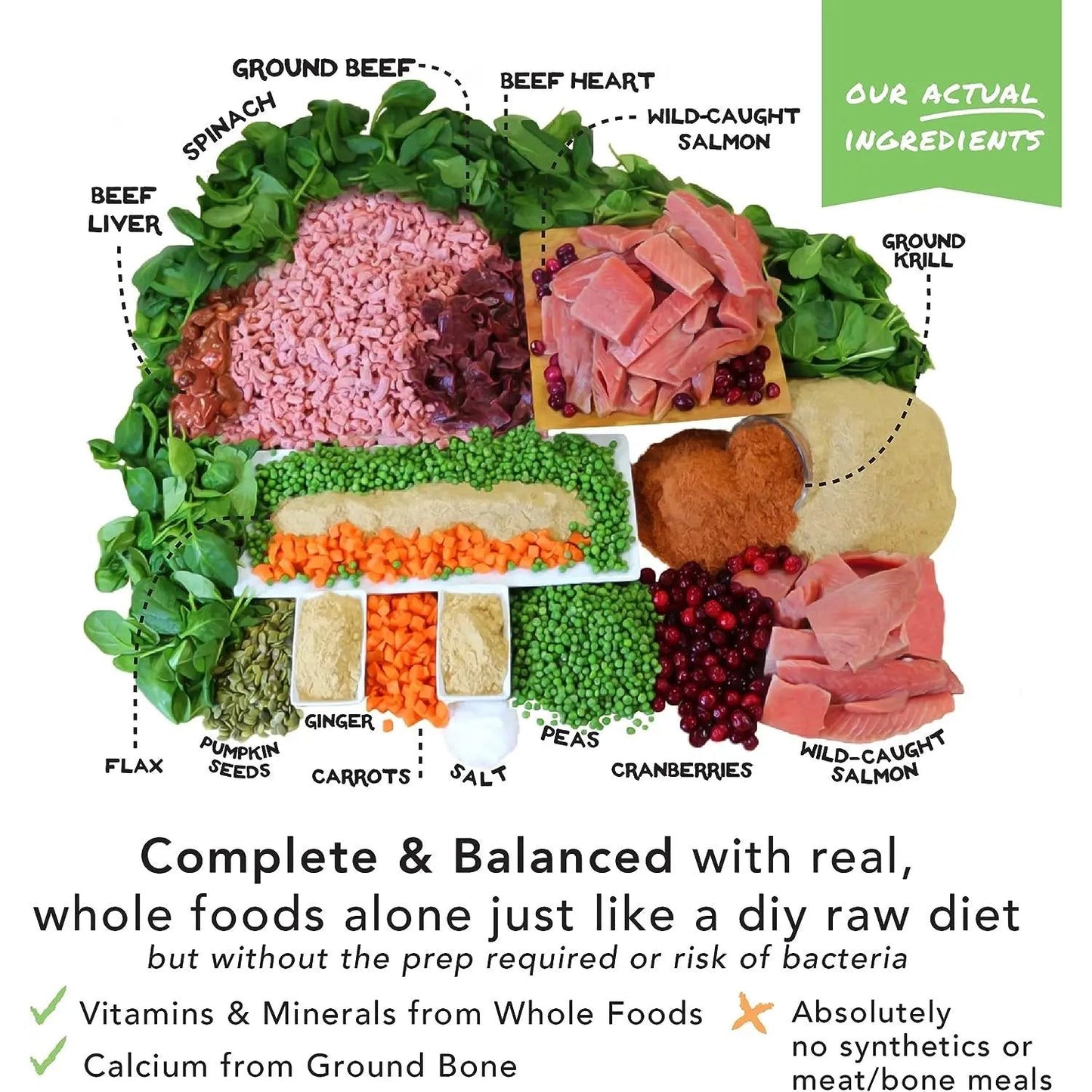 The Simple Food Project Beef & Salmon Recipe Freeze Dried Raw Food for Dogs The Simple Food Project