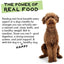 The Simple Food Project Beef & Salmon Recipe Freeze Dried Raw Food for Dogs The Simple Food Project