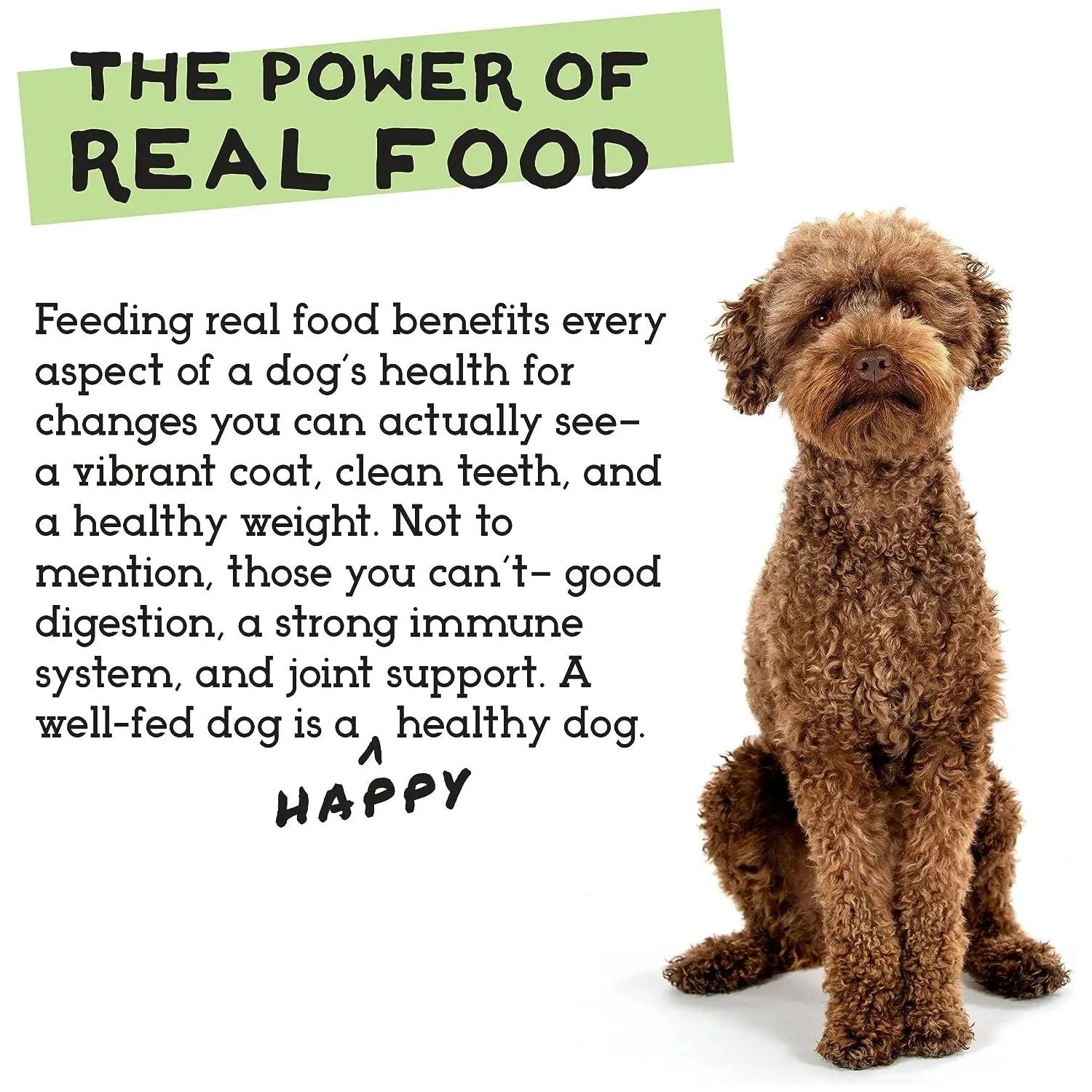 The Simple Food Project Beef & Salmon Recipe Freeze Dried Raw Food for Dogs The Simple Food Project