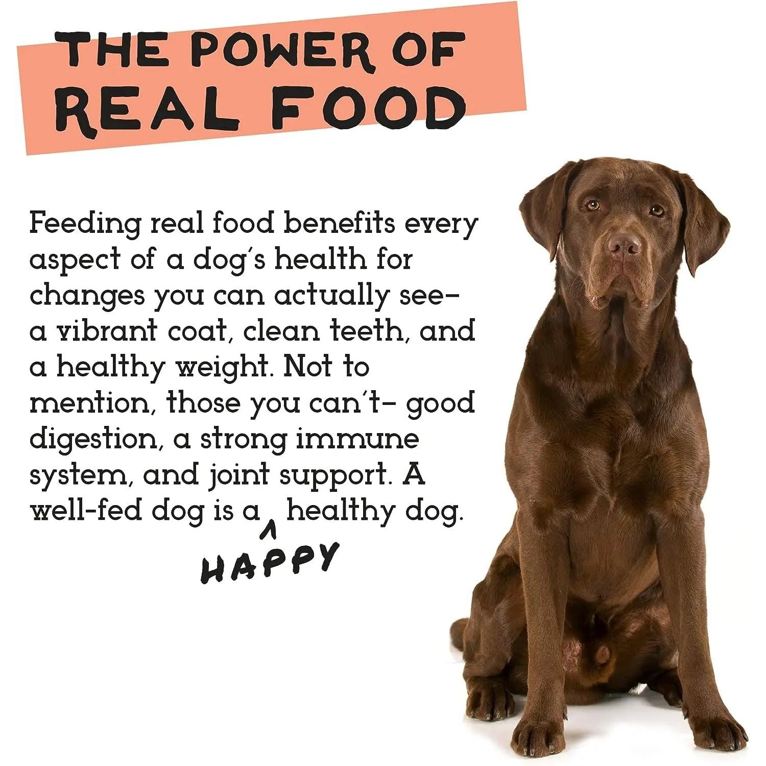 The Simple Food Project Chicken & Turkey Recipe Freeze Dried Raw Food for Dogs The Simple Food Project