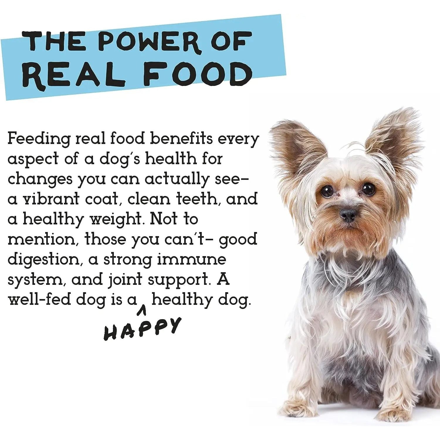 The Simple Food Project Duck & Trout Recipe for Dogs The Simple Food Project