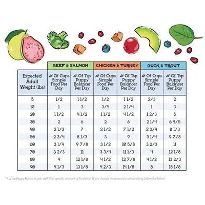 The Simple Food Project Vitamins & Minerals Puppy Balancer The Simple Food Project