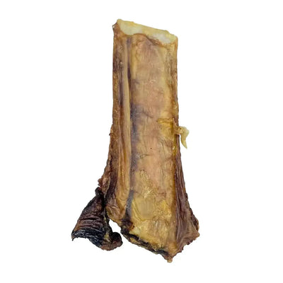 A single ThoozyPet USA-Sourced Beef Rib Bone Dog Chew, 5-7, with a rough, textured surface and darker, charred edges, shown on a white background.