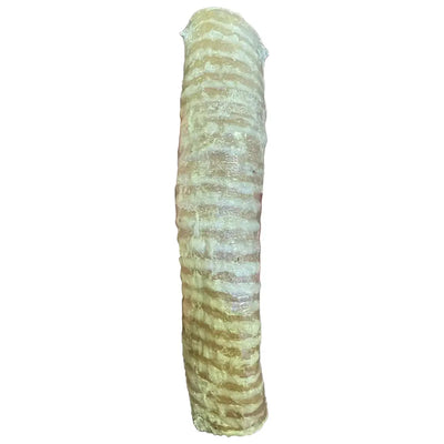 ThoozyPet USA-Sourced Beef Trachea Dog Chews ThoozyPet