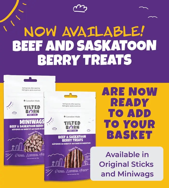 Tilted Barn Pet Beef & Saskatoon Berry Recipe Soft & Chewy Dog Treats 3.53oz Tilted Barn Pet