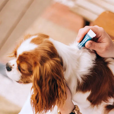 Wondercide Flea & Tick Spot On for Dogs Peppermint Wondercide