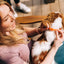 Wondercide Natural Flea, Tick & Mosquito Repellent Dogs Collar Wondercide