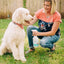 Wondercide Natural Flea, Tick & Mosquito Spray for Dogs & Cats Wondercide
