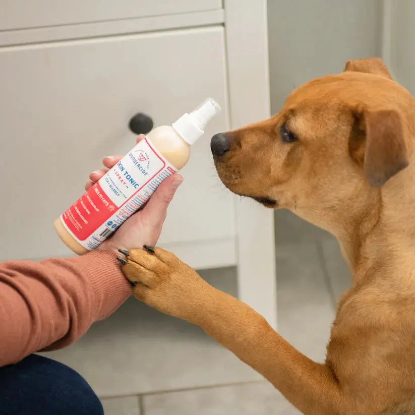 Wondercide Skin Tonic Anti-Itch Spray with Neem Wondercide
