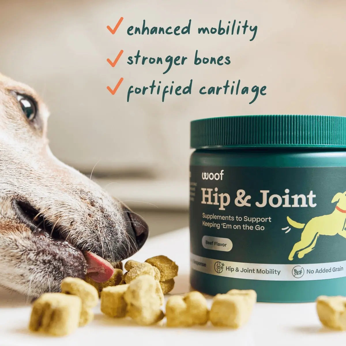 Woof Hip & Joint Beef Flavored Chew Hip & Joint Supplement for Dogs Woof Pet