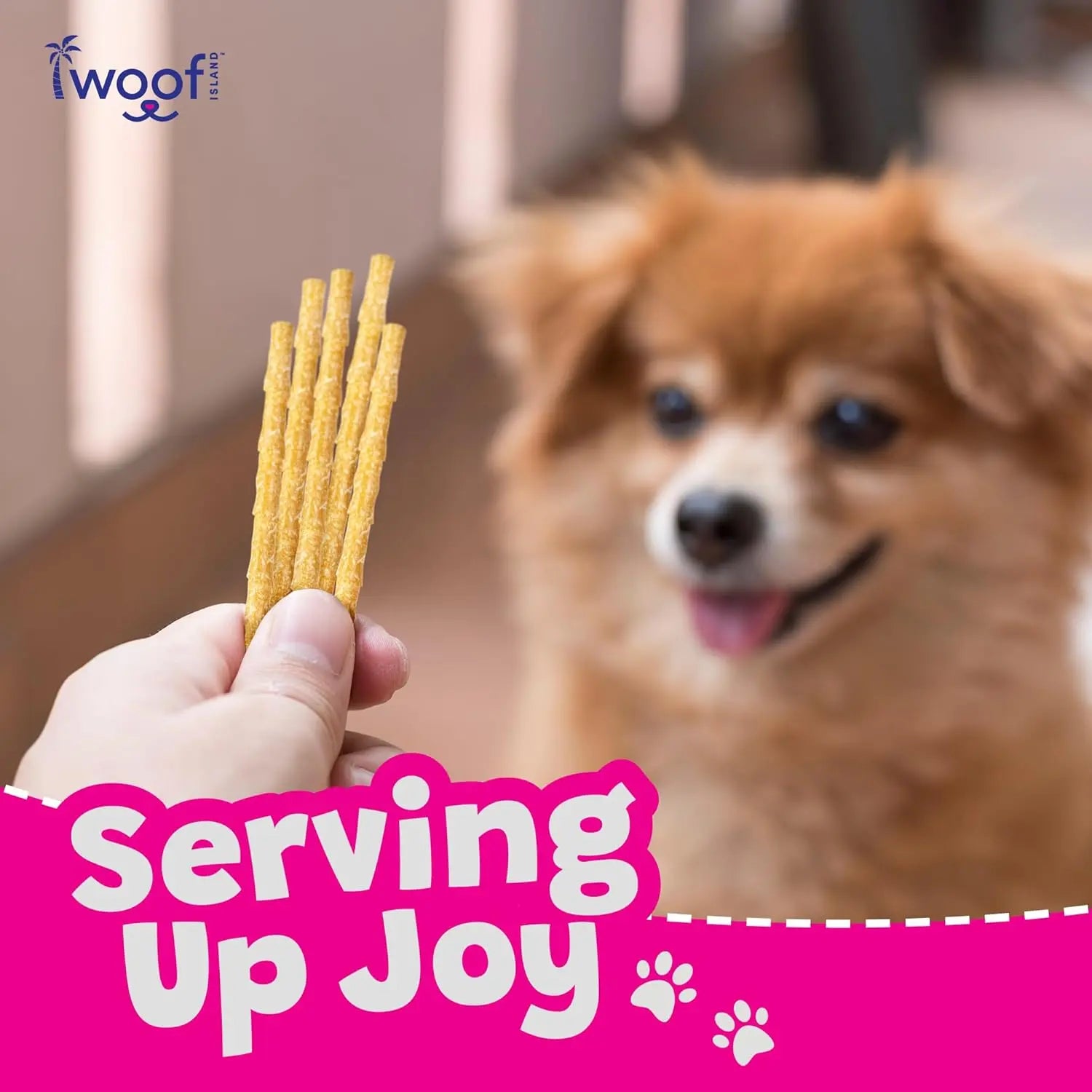 A hand holds Woof Island Coconut Sticks—rawhide-free, all-natural dog chews—with a happy, fluffy brown dog in the background. Bold pink and white text reads “Serving Up Joy,” with paw prints and the Woof Island logo above.