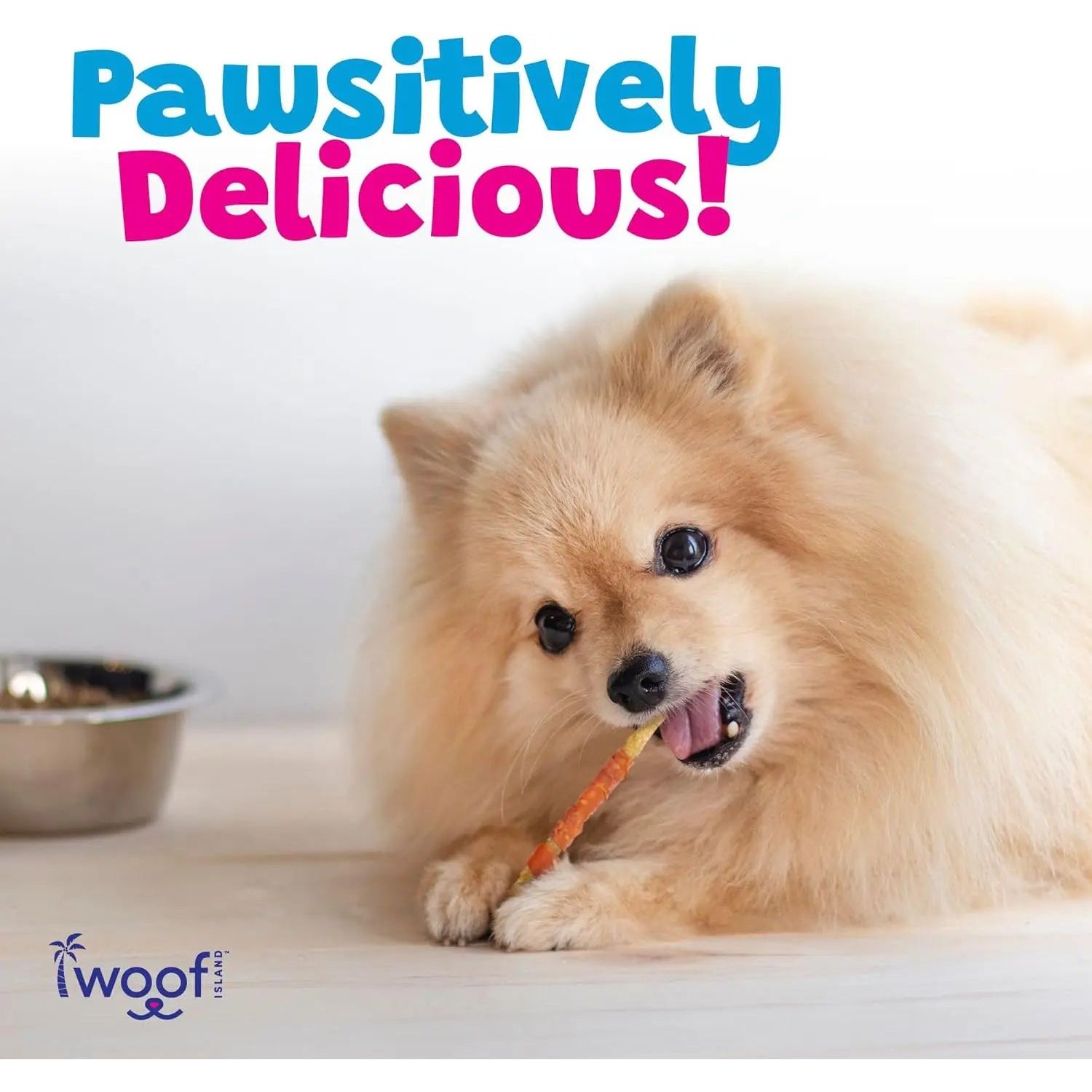 A fluffy Pomeranian lies on the floor, happily chewing on a Woof Island Healthy Rawhide Free Coconut and Chicken Chew for Dogs. Bold text reads Pawsitively Delicious! with a dog food bowl and the Woof Island logo nearby.