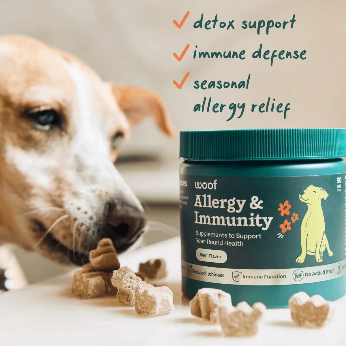 Woof Pet Allergy & Immunity Beef Flavored Chew Supplement for Dogs Woof Pet