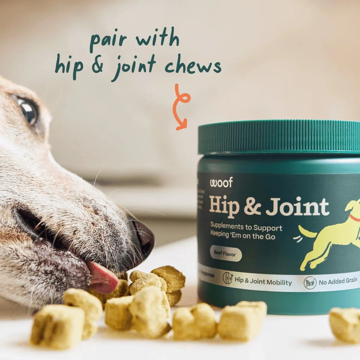 Woof Pupsicle Hip & Joint Health Pop Refills Long Lasting Lickable Dog Treats Woof Pet