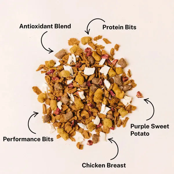 Yummers Chicken & Beef Recipe with Freeze Dried Proteins Dog Food Yummers