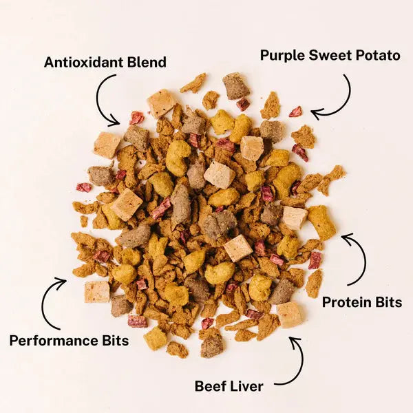 Yummers Salmon & Beef Recipe with Freeze Dried Proteins Dog Food Yummers