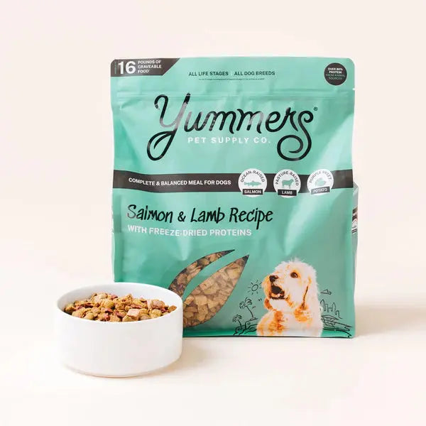 Yummers Salmon & Lamb Recipe with Freeze Dried Proteins Dog Food Yummers