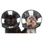 ZenPet Zen Cone Soft Recovery Collar CS Tech