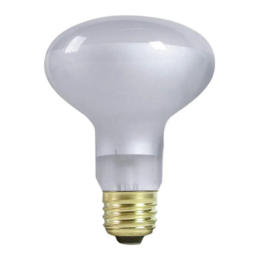 Zilla Incandescent Spot Bulb Zilla®