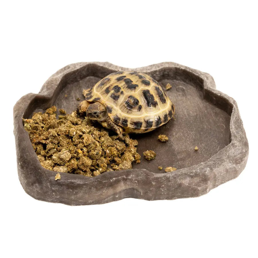 Zoo Med Grassland Tortoise Food Crumbles Zoo Med Laboratories