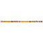 A long, rectangular box labeled RSC Zoo Med T8 ReptiSun 10.0 UVB Fluorescent Lamp White features reptiles and bold yellow, red, and black colors. The packaging promotes UVB lighting essential for reptiles.
