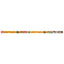 A long, rectangular box labeled RSC Zoo Med T8 ReptiSun 10.0 UVB Fluorescent Lamp White, featuring images of a lizard and turtle in yellow, red, and black, containing a reptile UVB lamp.