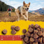 Zuke's® Mini Naturals® Chicken Recipe Dog Treats 6 Oz Zuke's®