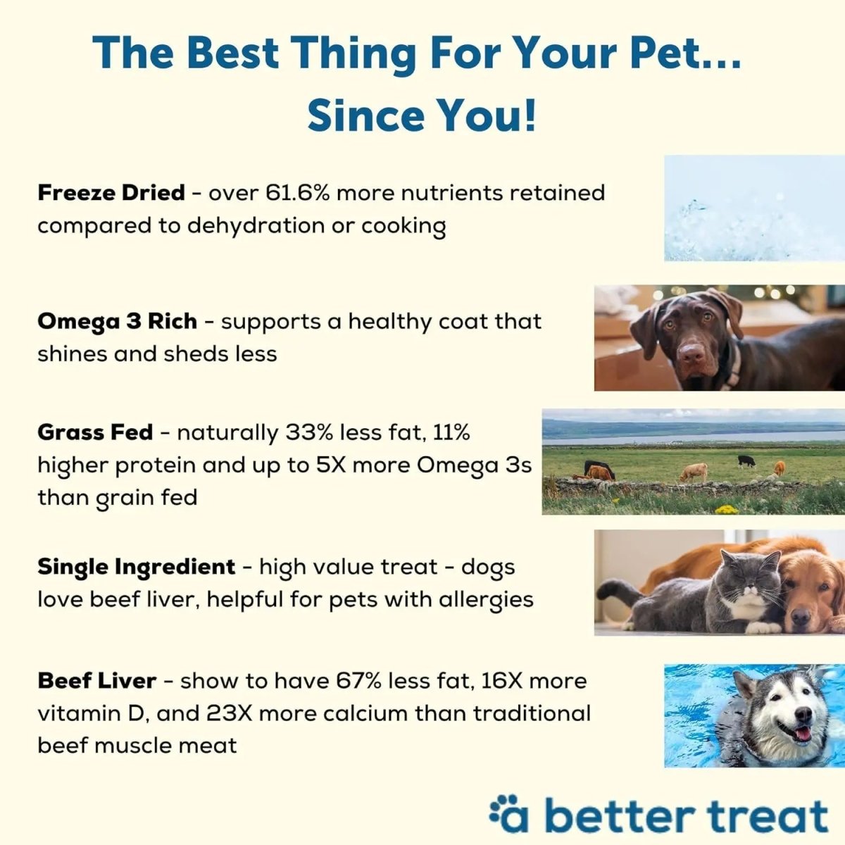 A Better Treat Freeze Dried Raw Grass Fed Beef Liver Dog and Cat Treats - Talis Us