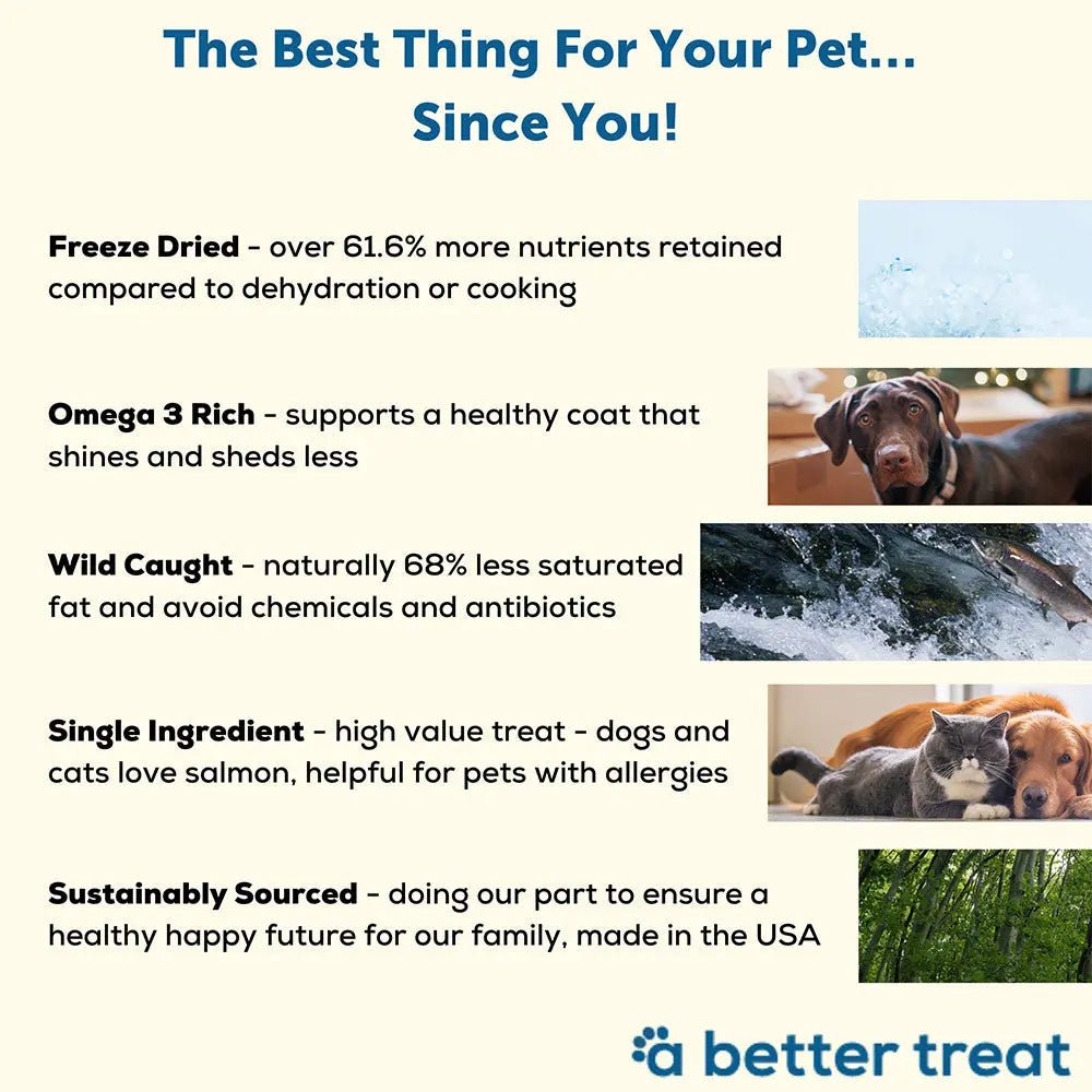 A Better Treat Freeze Dried Raw Wild Caught Salmon Dog and Cat Treats 3 oz - Talis Us
