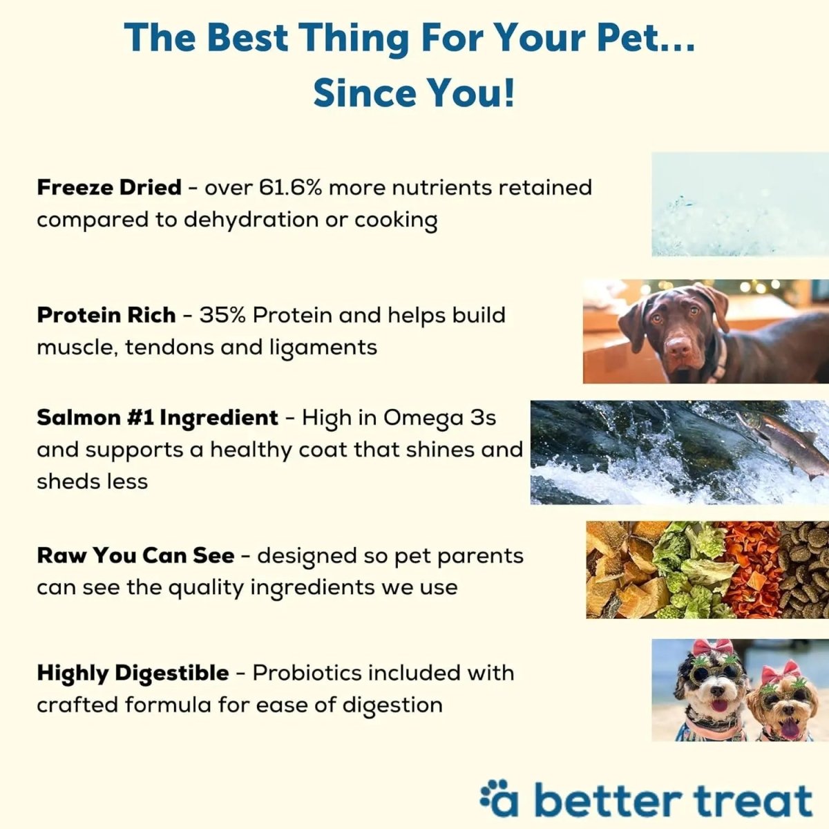 A Better Treat Raw You Can See Salmon Dog Freeze - Dried Food 4lb - Talis Us